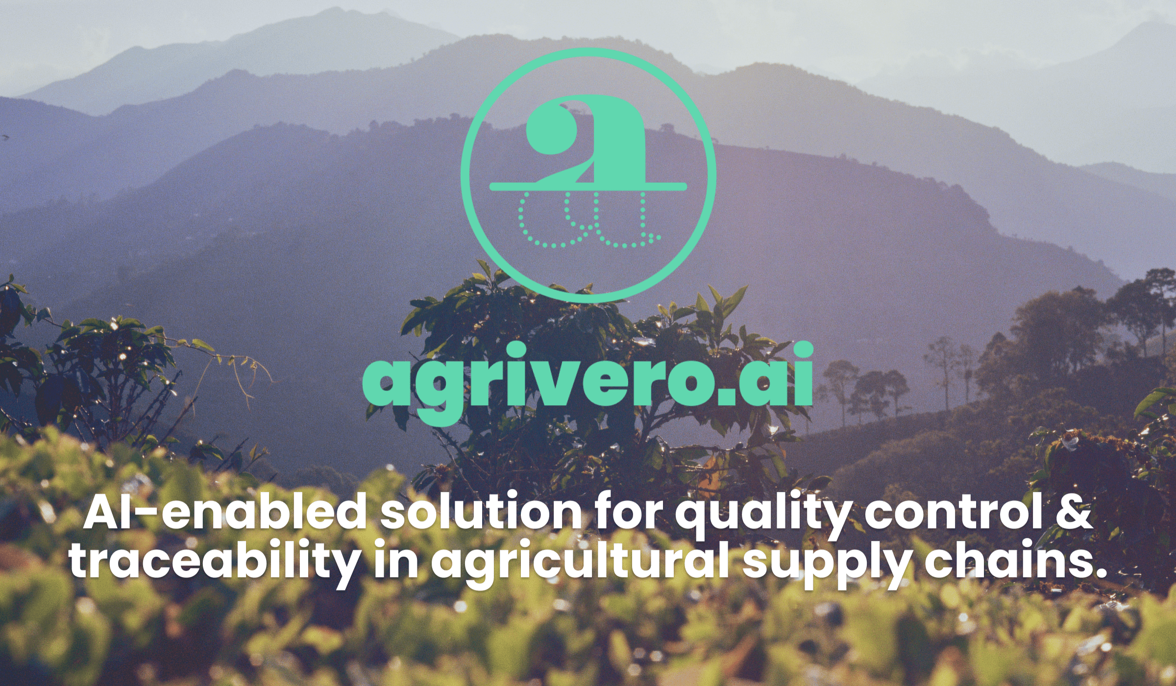 Agrivero coffee supply chain landscape